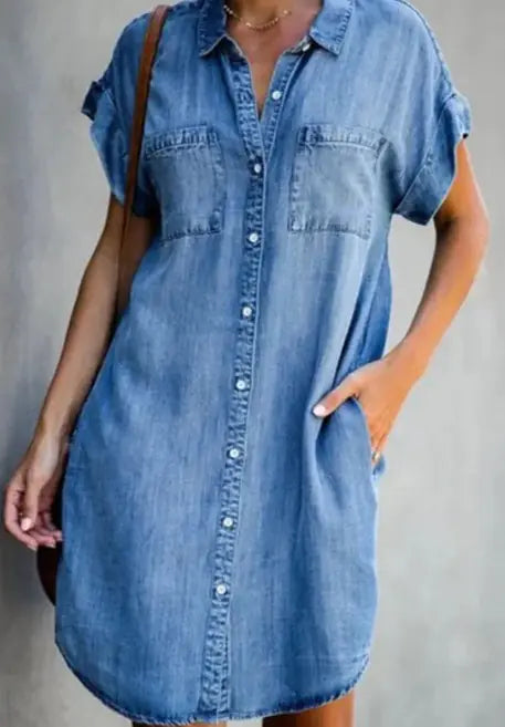 Furrzy Denim Dress