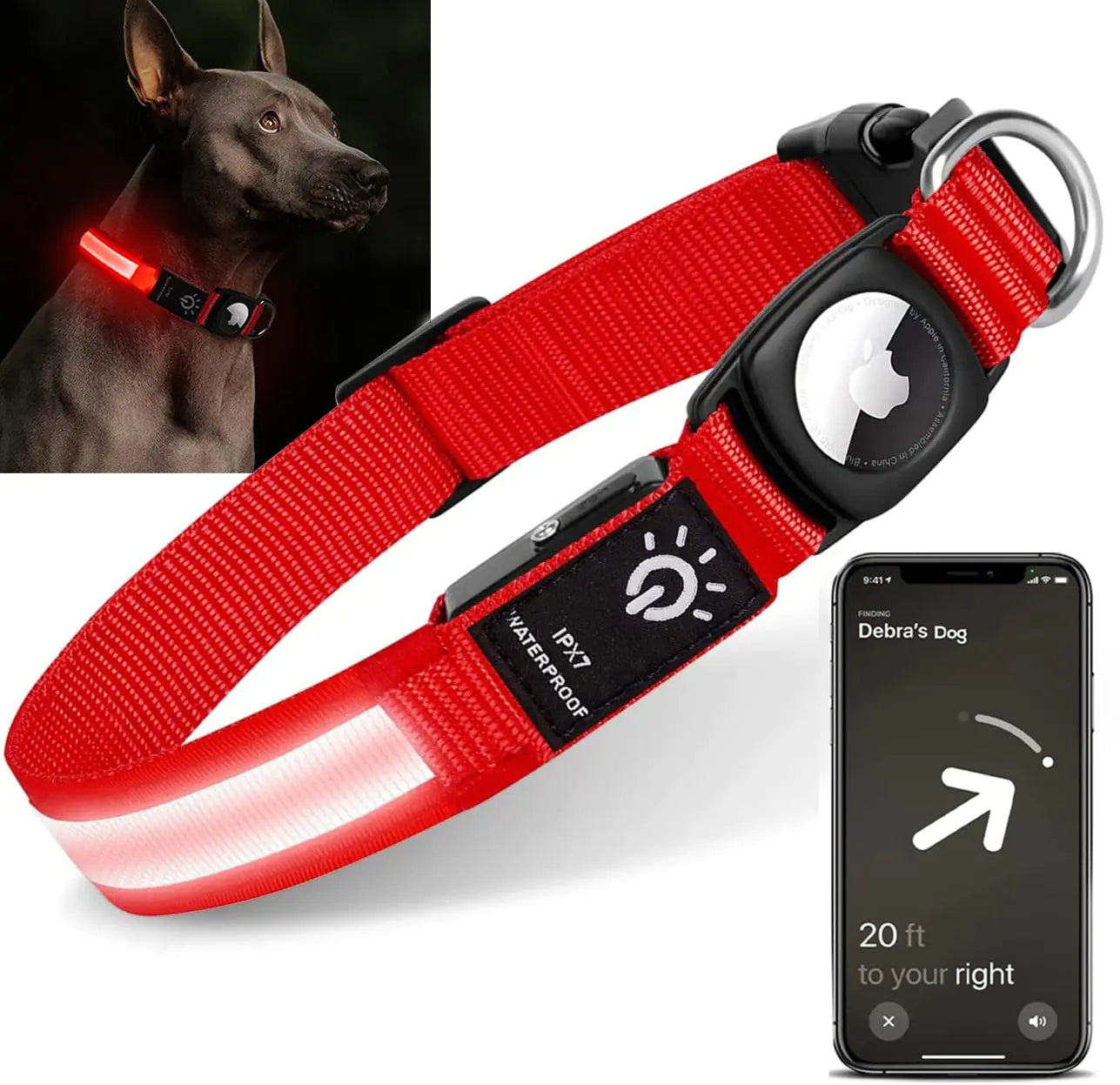 LED Dog Collar